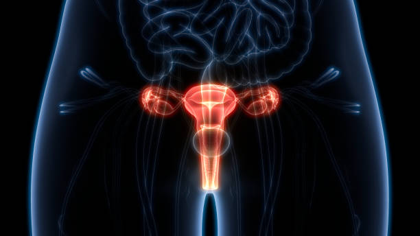 Role of AMH in Infertility Treatment