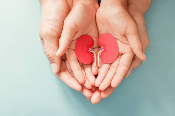 National Kidney Month – A call to protect your kidneys & its health.