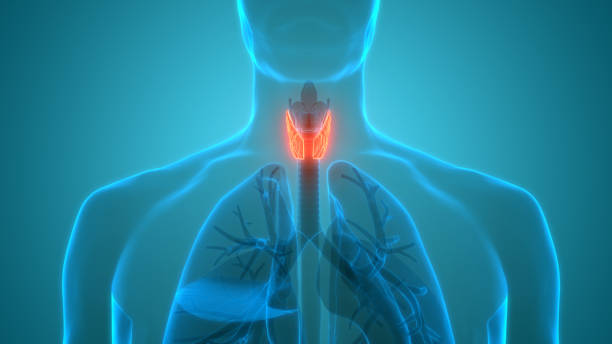 Thyroid Antibodies - A Silent Problem Marker for Thyroid Gland