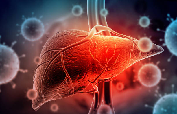 A healthy liver is vital for a healthy life