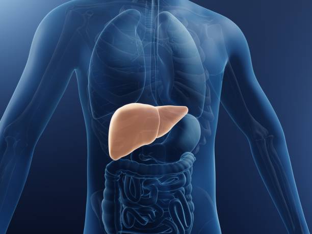 NAFLD – Non-Alcoholic Fatty Liver Disease  How to Identify, Confirm, and Treatment Modalities