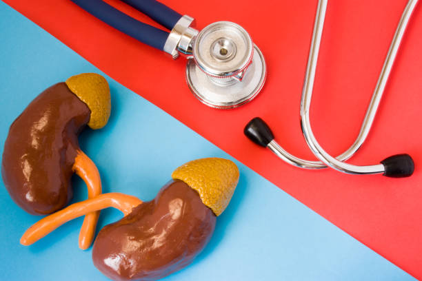 Early Symptoms of Renal Dysfunction